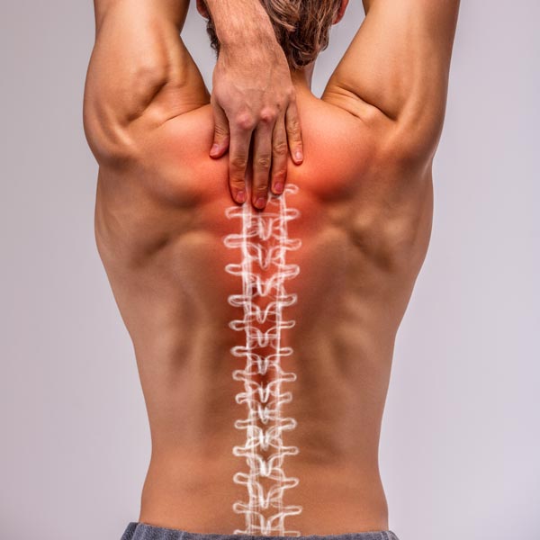What to Expect When Getting Regular Spine Adjustments