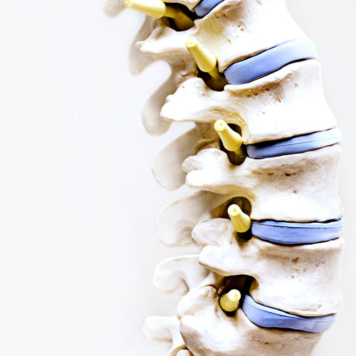 How Denneroll Spinal Remodeling Devices Can Support Chiropractic Care