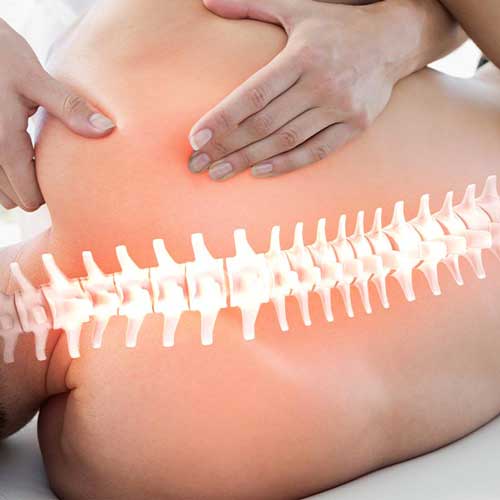 Take Care of Your Spine with Chiropractic BioPhysics®